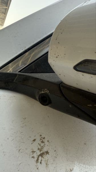 BYD Song Plus EV Champion 2025 — 4