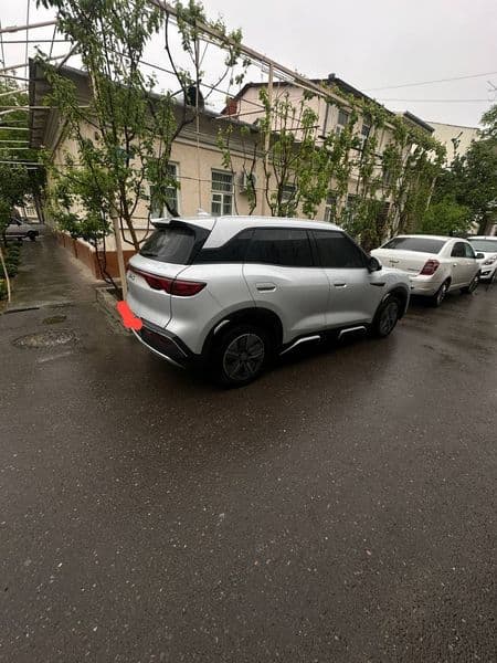 BYD Yuan Up 2024 — 6