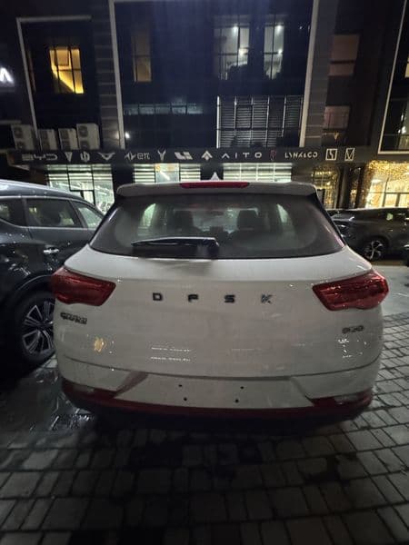 Dongfeng  2025 — 4