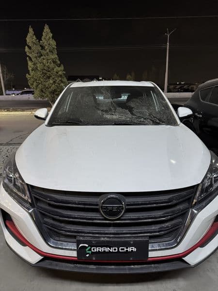 Dongfeng  2025 — foto 1