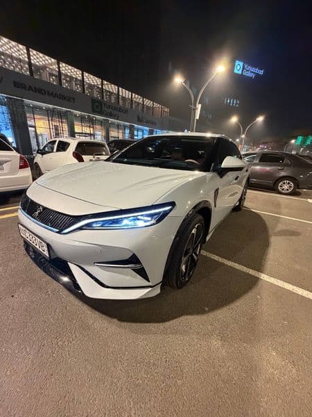 BYD Song L 2024
