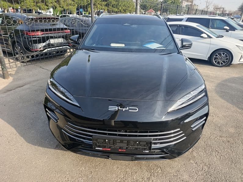 BYD Song Plus DM-i Champion 2024