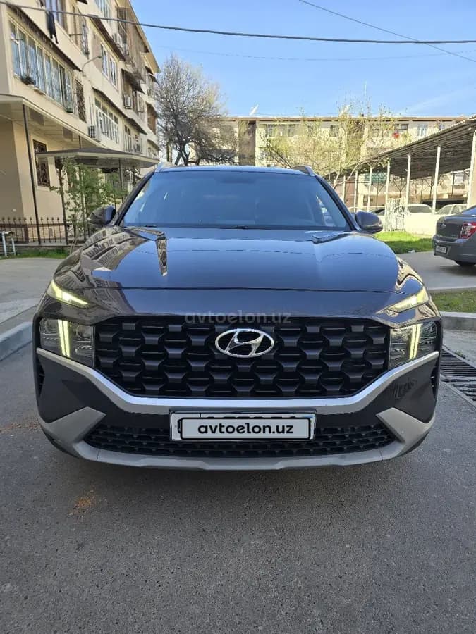 Hyundai Santa Fe null