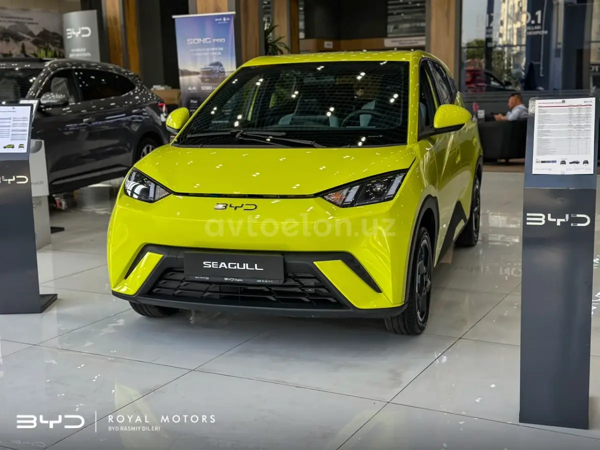 BYD Seagull null