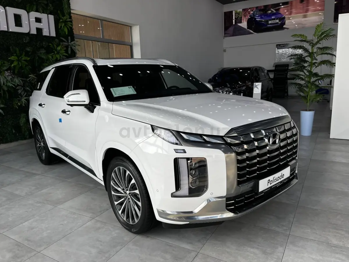 Hyundai Palisade null