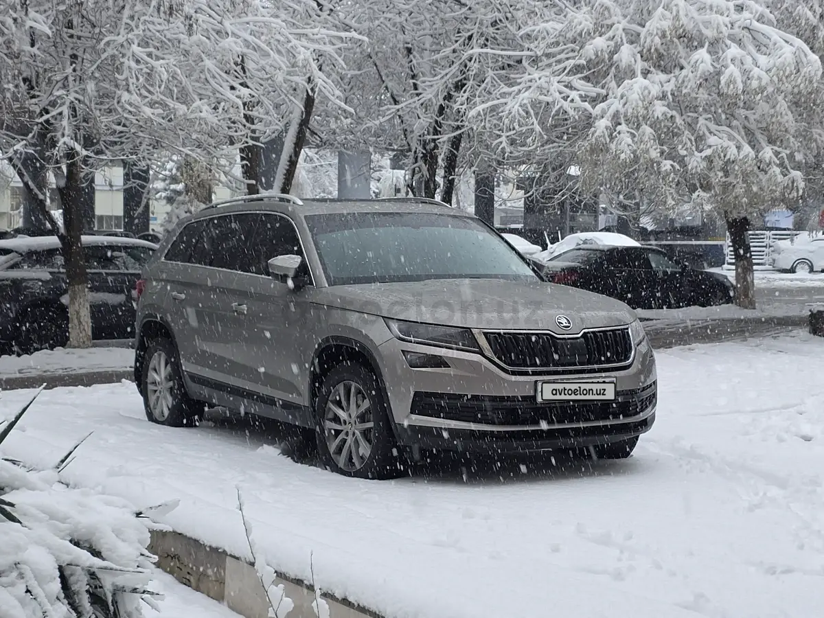 Skoda Kodiaq null