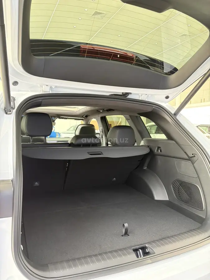 Geely Monjaro null — 8