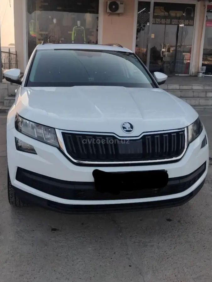 Skoda Kodiaq null