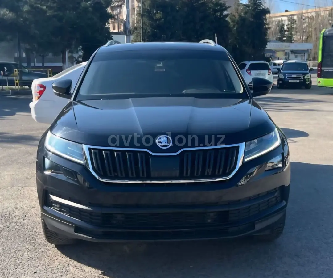 Skoda Kodiaq null
